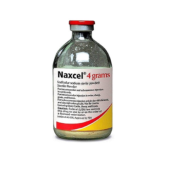 Naxcel Injection