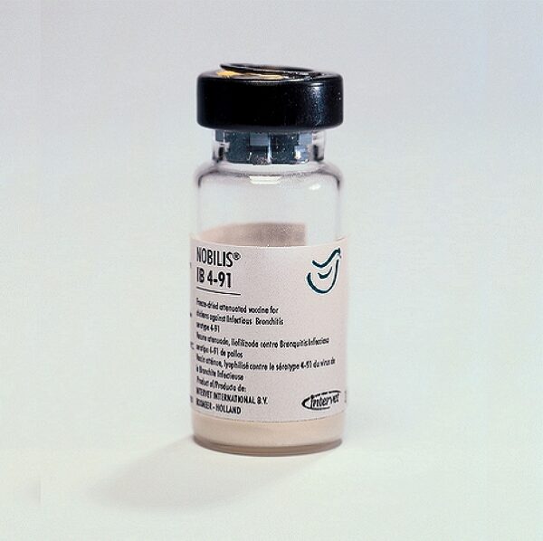 Nobilis IB 4-91 Vaccine