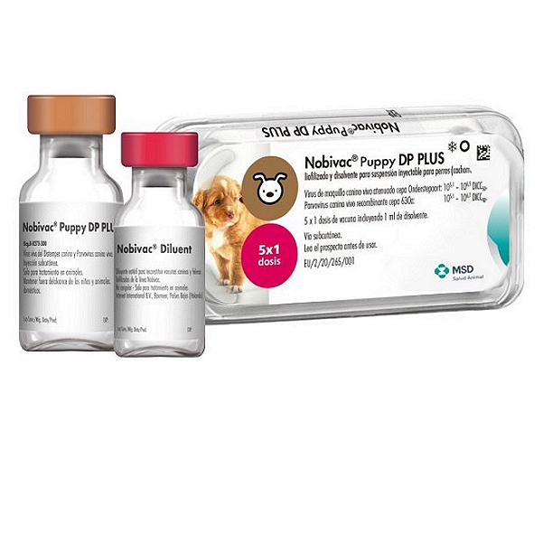 Nobivac DP Plus Vaccine
