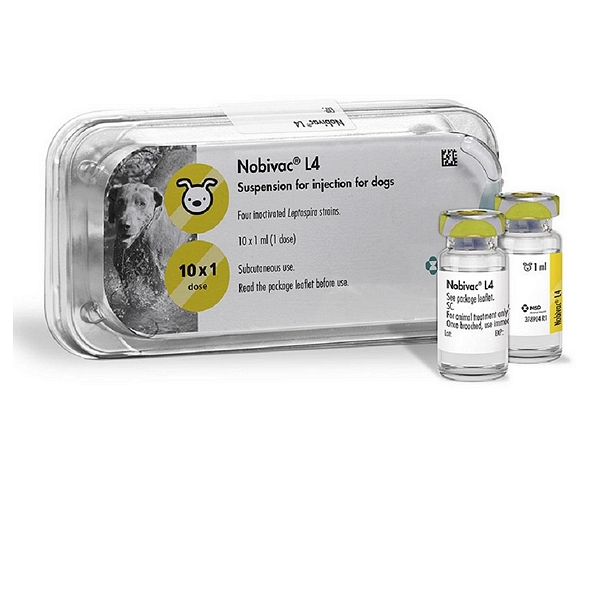 Nobivac LoVo L4 Vaccine
