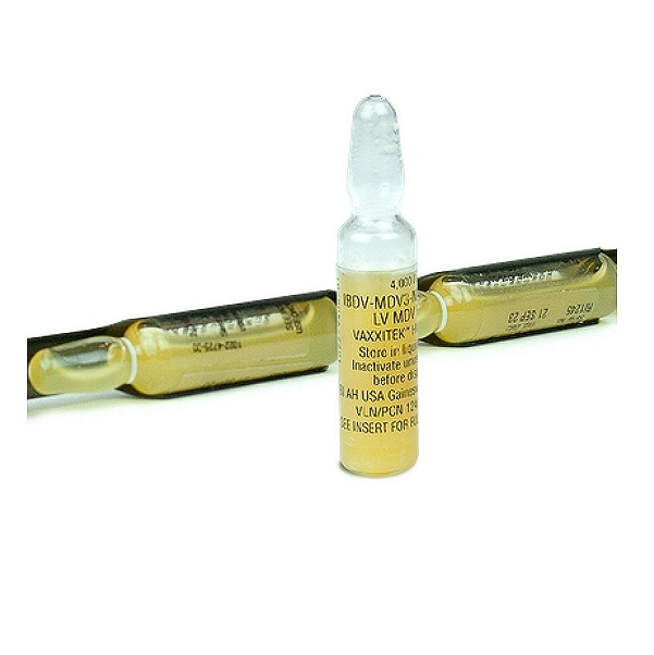 Prevexxion RN Vaccine