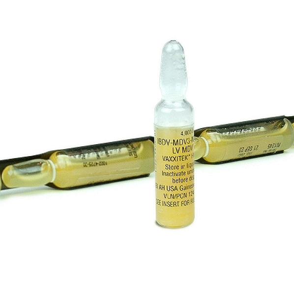 Prevexxion RN+HVT Vaccine