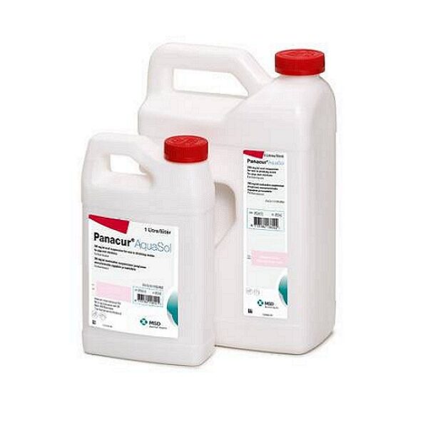 Panacur AquaSol Oral Suspension