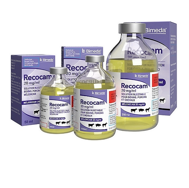 Recocam Injection