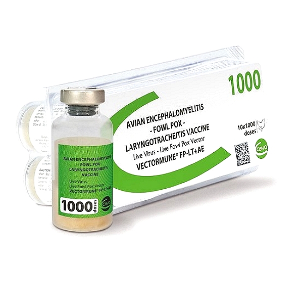 Vectormune FP ILT + AE Vaccine
