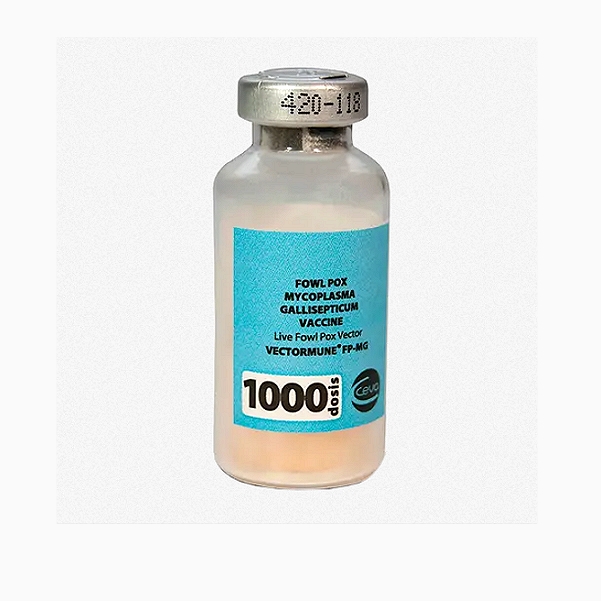 Vectormune HVT-AIV Vaccine