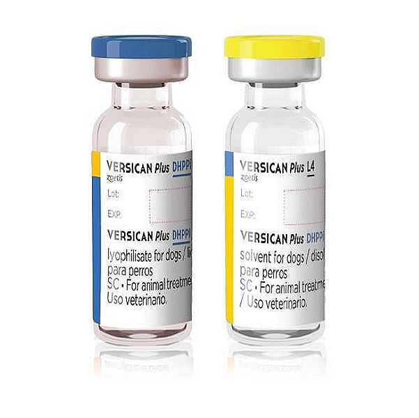 Versican Plus DHPPi Vaccine