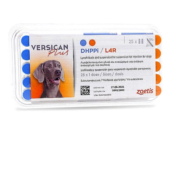 Versican Plus DHPPi/L4R Vaccine