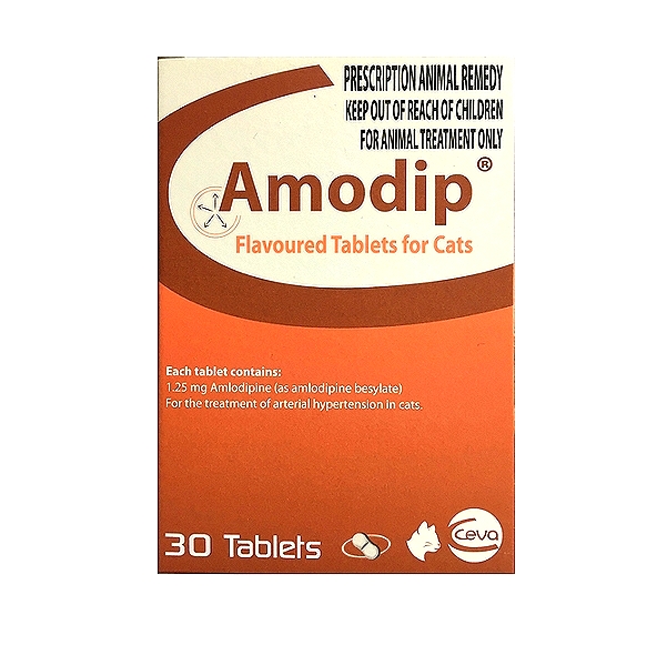 Amodip Chewable Tablets