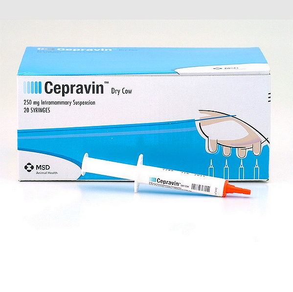 Cepravin Suspension