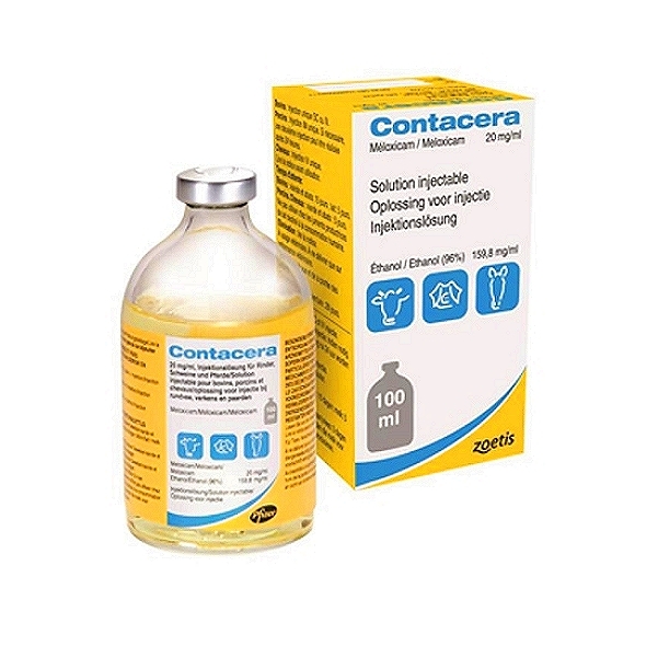 Contacera Injection
