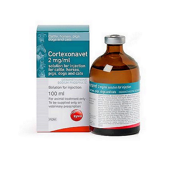 Cortexonavet Injection