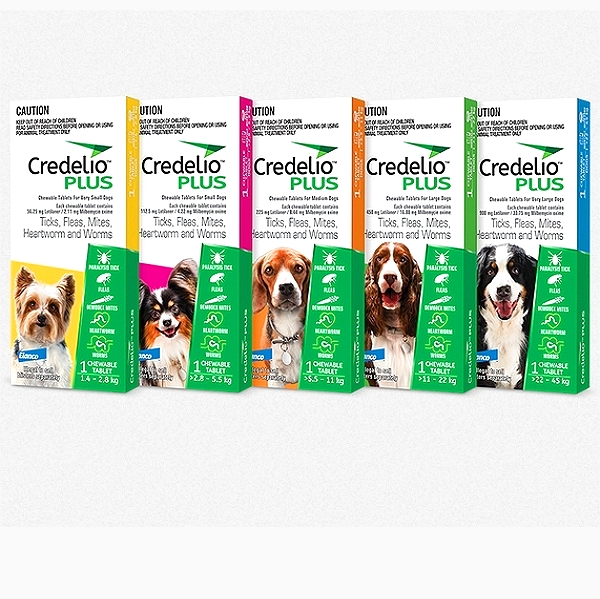 Credelio Plus Tablets for Dogs