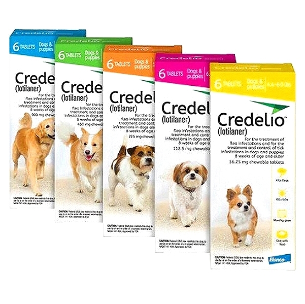 Credelio Tablets for Dogs