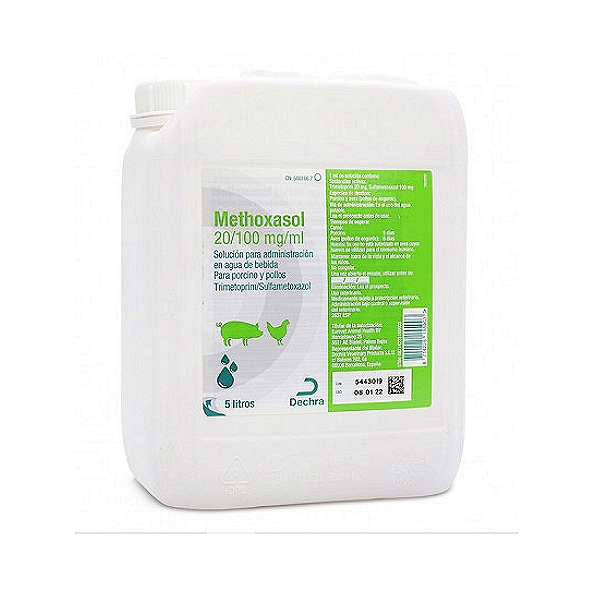 Methoxasol-T Oral Solution