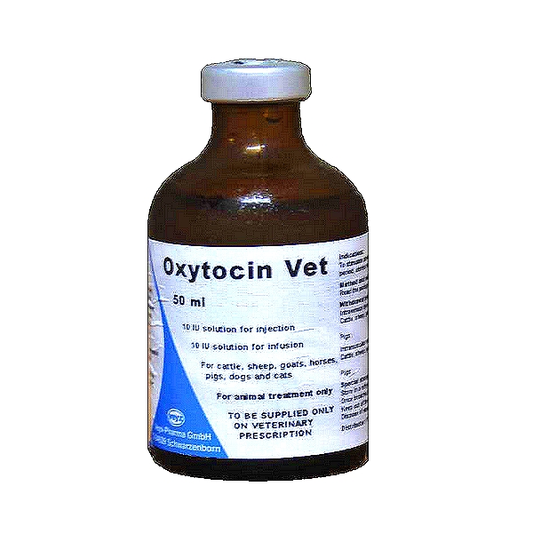 Oxytocin Vet