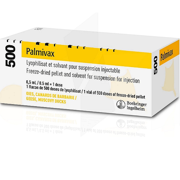 Palmivax Lyophilisat Injection