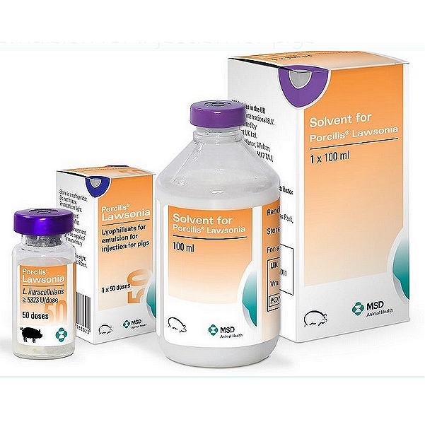 Porcilis Lawsonia Injection