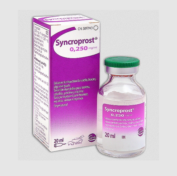Syncroprost Injection