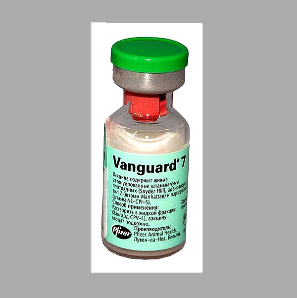 Vanguard CPV-L Vaccine