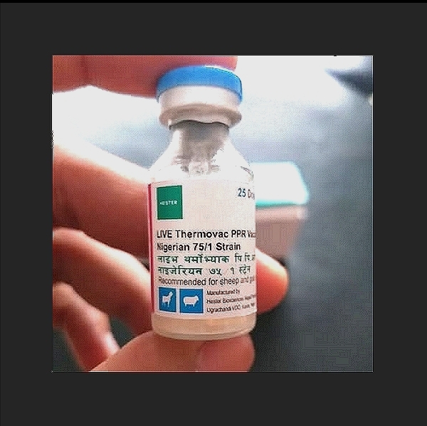 PPR Vaccine – Nigerian 75/1
