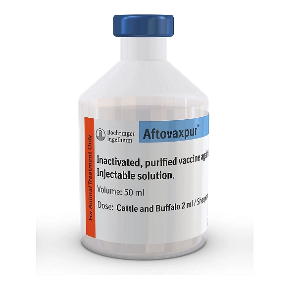 Foot and Mouth Disease Vaccine