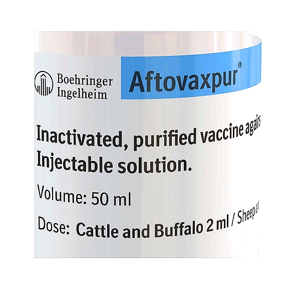 Foot and Mouth Disease Vaccine