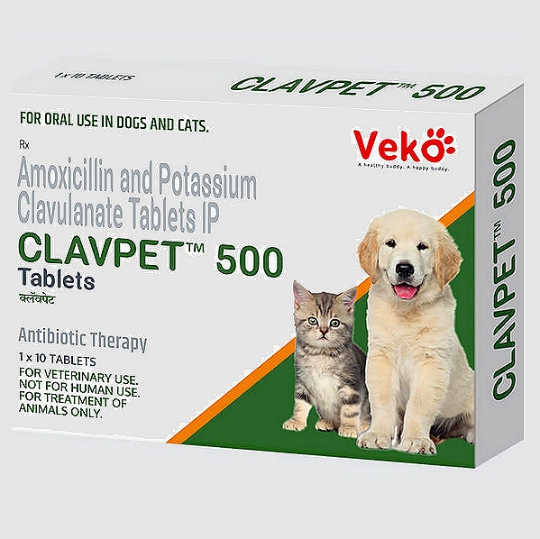 Amoxicillin clavulanate