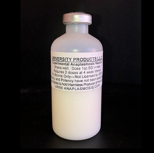 Anaplasmosis Vaccine