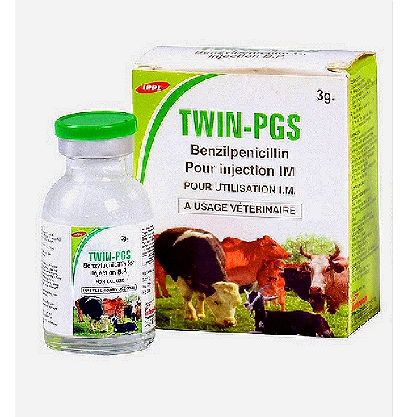 Benzylpenicillin (Penicillin G)