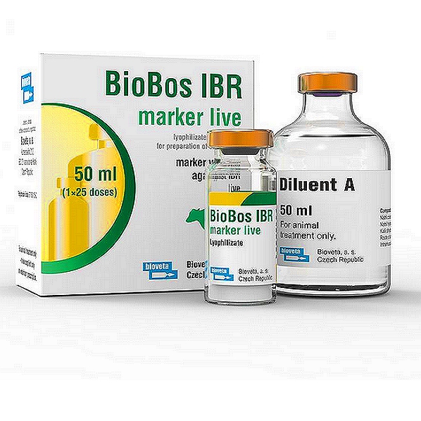 Bovine Herpes Virus Type 1 Vaccine