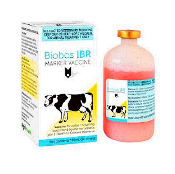 Bovine Herpes Virus Type 1 Vaccine