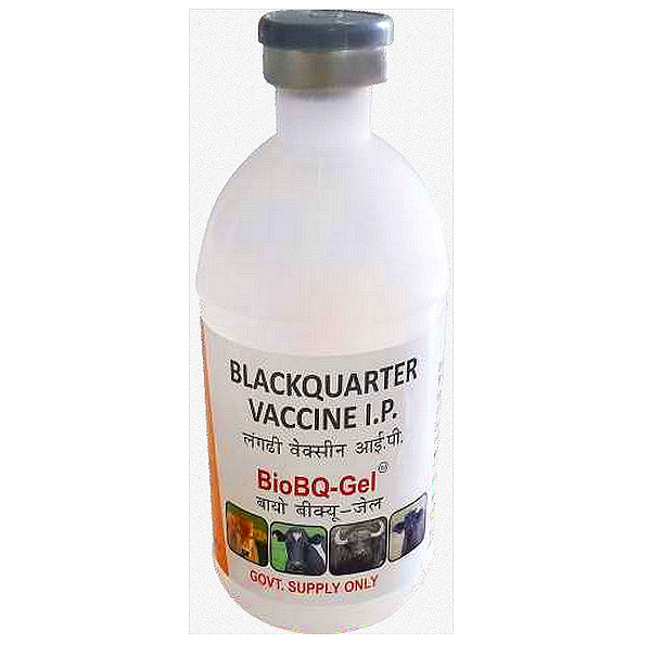 Clostridium Chavoei Vaccine