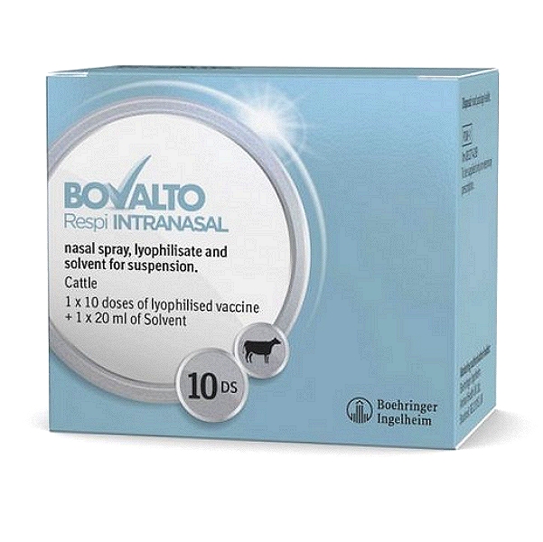 Bovine Respiratory Syncytial Virus Vaccine