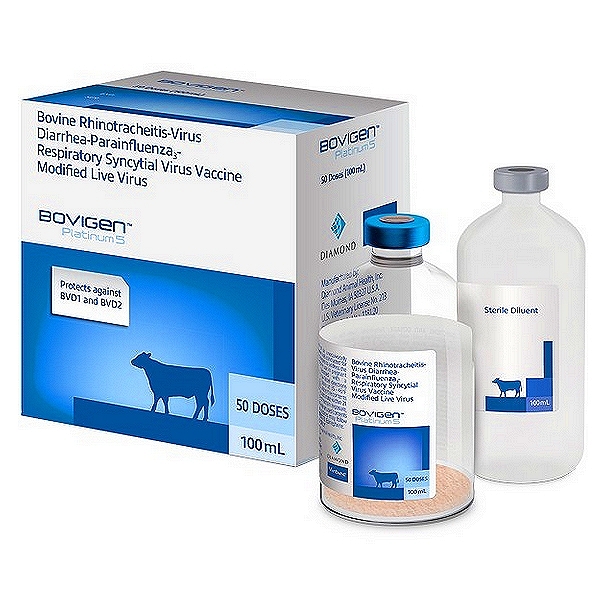 Infectious Bovine Rhinotracheitis Vaccine