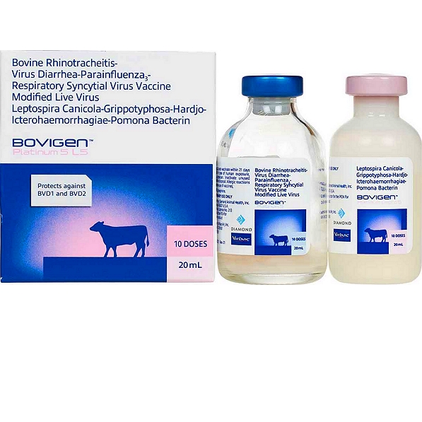 Bovine Respiratory Syncytial Virus Vaccine