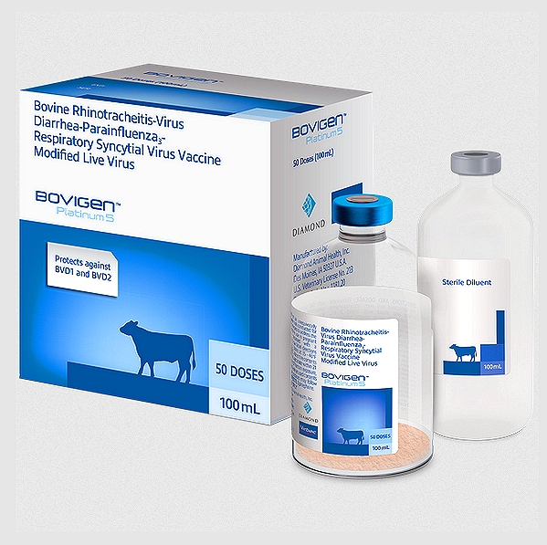 Bovine Viral Diarrhea Vaccine