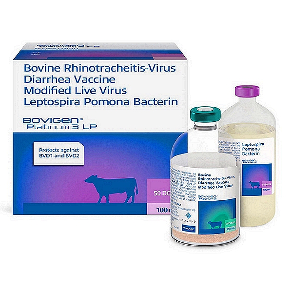 Leptospira Pomona Vaccine