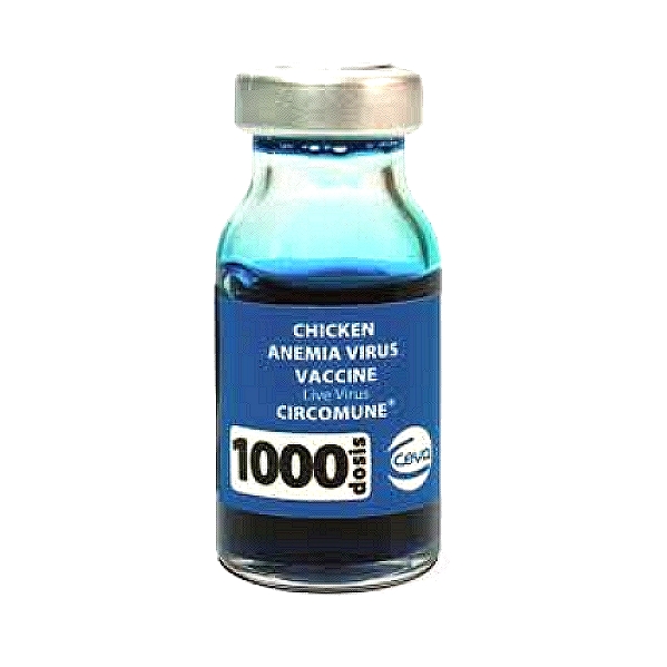 Chicken Anaemia Virus Vaccine