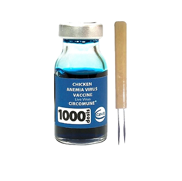 Chicken Anaemia Virus Vaccine