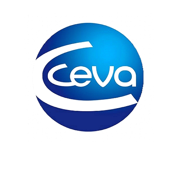 Haemorrhagic Enteritis Virus Vaccine