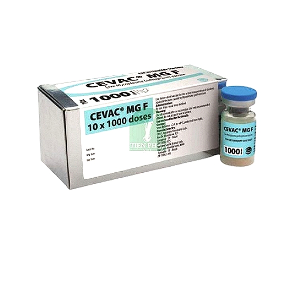 Mycoplasma Gallisepticum Vaccine