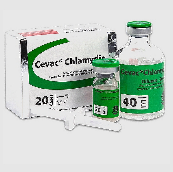 Enzootic Abortion Vaccine (Copy)