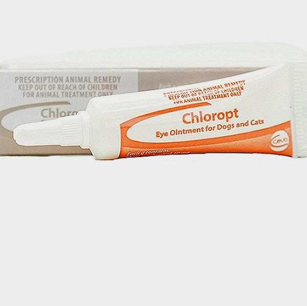 Chloramphenicol
