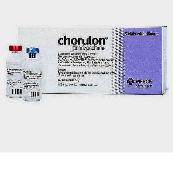 Human chorionic gonadotropin