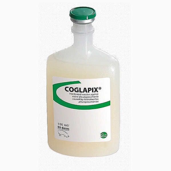 Actinobacillus Pleuropneumonia Vaccine