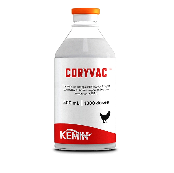 Avibacterium (Haemophilus) Paragallinarum Vaccine