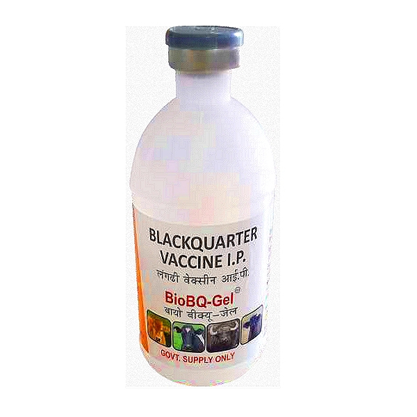Clostridium Chavoei Vaccine