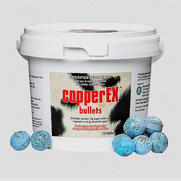 Copper Bullets