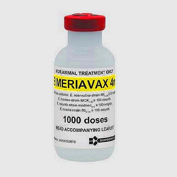 Eimeria Tenella Vaccine